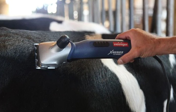 tondeuse rund slijpen